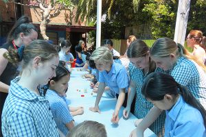 St Mary's Catholic Primary School Erskineville News and Events 1